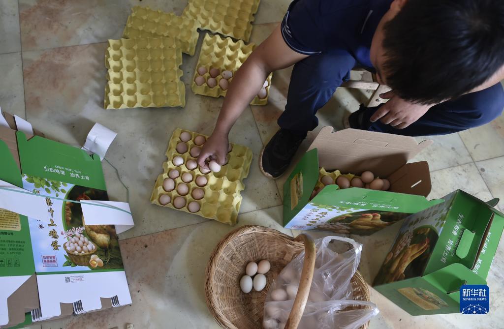 捕鱼大咖app下载